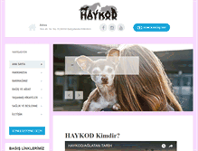 Tablet Screenshot of haykod.org